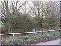 The overgrown Wilts & Berks Canal (Longcot Branch)