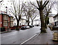 Tree-lined Clytha Park Road, Newport