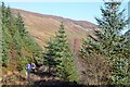 NN0764 : Upper forest path, Gleann Righ by Jim Barton