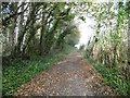 Bradford Peverell, permissive bridleway