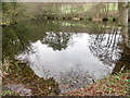 Fish Pond, Swanton Valley