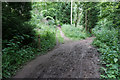 SO8913 : The Cotswold Way approaching Cooper's Hill by Bill Boaden