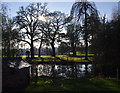 Pond, Rookery Hall