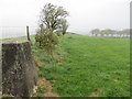 Field Edge View from Esgair-maen-fach Triangulation Pillar