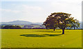 West view to Moel Famau from near Northop, 1994