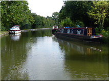 SP8834 : Boats moored along the Grand Union Canal by Mat Fascione