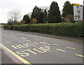 Directions sign in a Victoria Road hedge, Shifnal