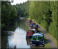 Narrowboats moored along the Grand Union Canal