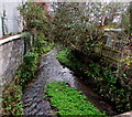 Wesley Brook south of Church Street, Shifnal