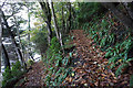 Path leading up towards Lynton