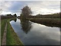 Bridgewater Canal south of Stage Lane