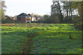 Rough pasture near Yateley