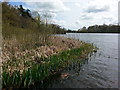 NZ0881 : Bolam Lake by Clive Nicholson