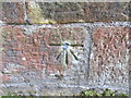 NY8497 : Ordnance Survey Cut Mark with Bolt by Peter Wood