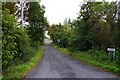 G8479 : The L6085 road passing through Ballybrollaghan, Co. Donegal by P L Chadwick