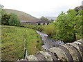 Crosslee Burn on its way to join Ettrick Water