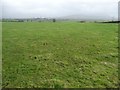 Pasture east of Pen y Gelli