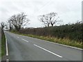 Bethel Road, B4366, looking west