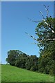 SX8358 : Field and trees, Sharpham by Derek Harper