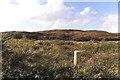 V9532 : Rough vegetation on hillside - Gortnamona Townland by Mac McCarron