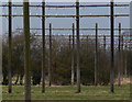 Radio masts near the Rugby Radio Station