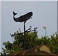 Weatherwhale on South Strand