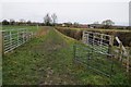 Bridleway to Peopleton