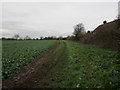 Footpath to Ganstead