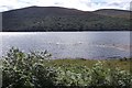 NC8309 : Loch Brora by Richard Webb
