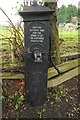 Village water pump in Peopleton