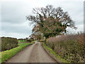 Church Road, Tolleshunt Major