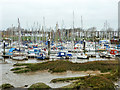 Tollesbury Marina