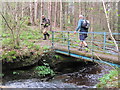 Footbridge over the Reaston Burn