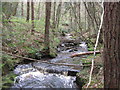 Footbridge over the Reaston Burn