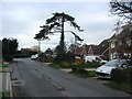 Pigeon Lane, Herne Bay