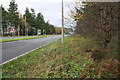 Ditch and culvert beside A420 at Appleton Turn