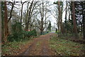 Track from Tubney Manor Farm emerges onto the A420