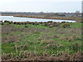 TL3872 : Former sand and gravel pit on Ouse Fen near Over by Richard Humphrey