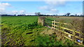 Footpath along a field edge