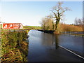 Enagh Lough over-spills onto Dyan Road