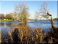 Flooded land, Tullynashane