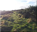 Footpath - Nettleton Hill Road