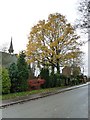 SK2310 : Churchyard trees in autumn colours, Haunton by Christine Johnstone
