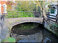 Footbridge over the New River (old course) by The Crown & Horses