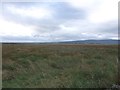 Dornoch Links