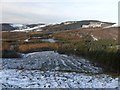 Trentabank Reservoir from Nessit Hill