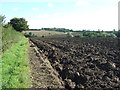 Path And Ploughed Field