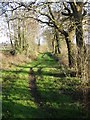 Dog Lane south of Stonebroom