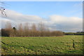 Footpath near Andersey Farm