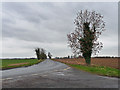 TF2803 : Whittlesey Road near Thorney by Stephen Richards